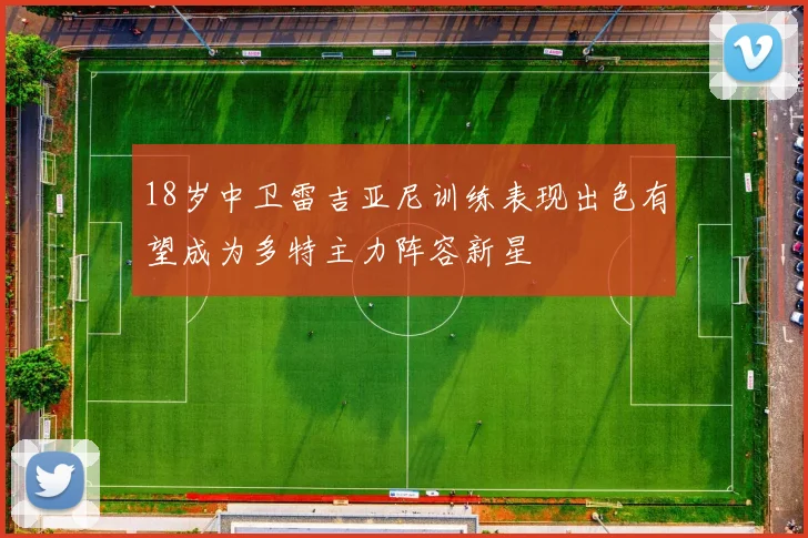 18岁中卫雷吉亚尼训练表现出色有望成为多特主力阵容新星