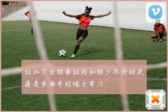 拉加贝尔称弗拉格如缺少乔丹的皮蓬是多面手的瑞士军刀