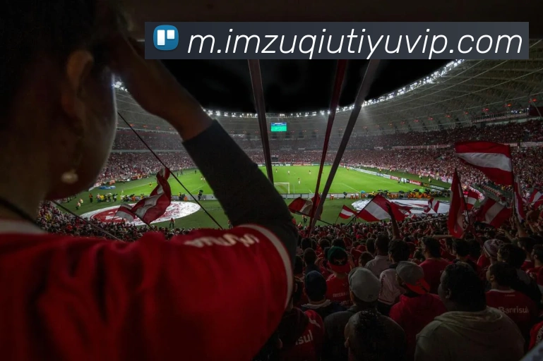 IM体育APP 封面图